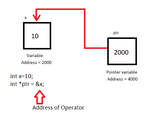 initialize pointer variable in C